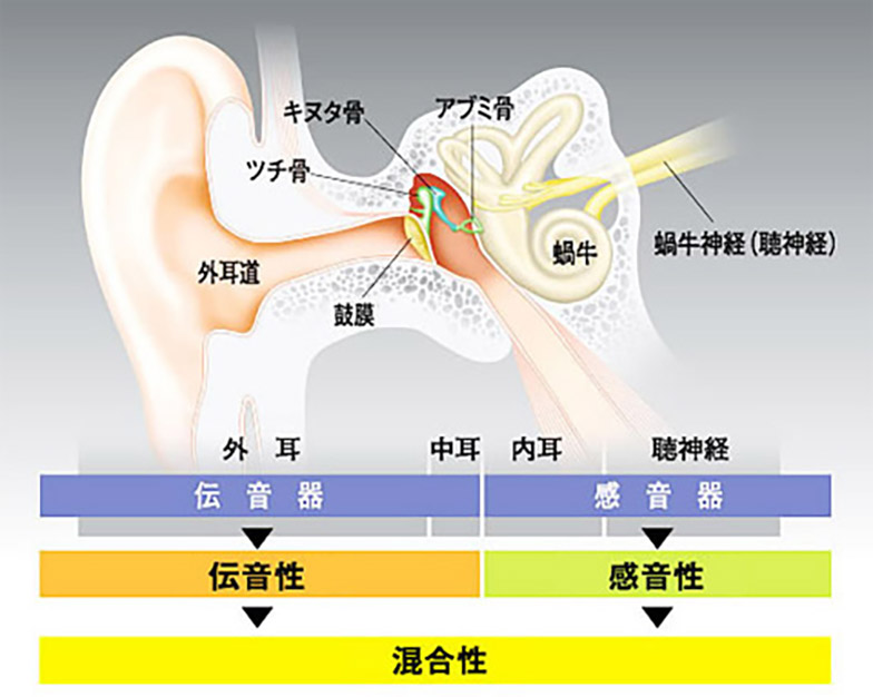 画像の説明